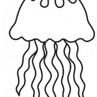 okul öncesınde sağlık haftası ,kağit işleri maske hayvanlar engelliler haftasi ,meyveler ,meslekler sayılar (2741)