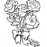 okul öncesınde sağlık haftası ,kağit işleri maske hayvanlar engelliler haftasi ,meyveler ,meslekler sayılar (2749)