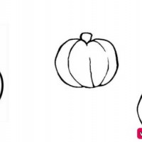 okul öncesınde sağlık haftası ,kağit işleri maske hayvanlar engelliler haftasi ,meyveler ,meslekler sayılar (2773)