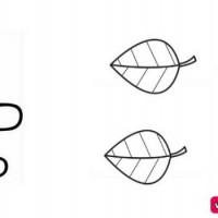 okul öncesınde sağlık haftası ,kağit işleri maske hayvanlar engelliler haftasi ,meyveler ,meslekler sayılar (2775)