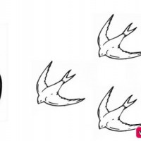 okul öncesınde sağlık haftası ,kağit işleri maske hayvanlar engelliler haftasi ,meyveler ,meslekler sayılar (2776)