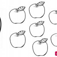 okul öncesınde sağlık haftası ,kağit işleri maske hayvanlar engelliler haftasi ,meyveler ,meslekler sayılar (2780)