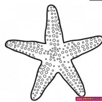 okul öncesınde sağlık haftası ,kağit işleri maske hayvanlar engelliler haftasi ,meyveler ,meslekler sayılar (2781)