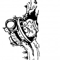 okul öncesınde sağlık haftası ,kağit işleri maske hayvanlar engelliler haftasi ,meyveler ,meslekler sayılar (2786)