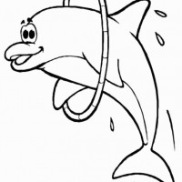 okul öncesınde sağlık haftası ,kağit işleri maske hayvanlar engelliler haftasi ,meyveler ,meslekler sayılar (2796)