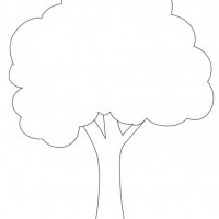 okul öncesınde sağlık haftası ,kağit işleri maske hayvanlar engelliler haftasi ,meyveler ,meslekler sayılar (2800)