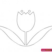 okul öncesınde sağlık haftası ,kağit işleri maske hayvanlar engelliler haftasi ,meyveler ,meslekler sayılar (2808)