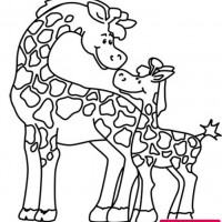 okul öncesınde sağlık haftası ,kağit işleri maske hayvanlar engelliler haftasi ,meyveler ,meslekler sayılar (2833)