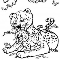 okul öncesınde sağlık haftası ,kağit işleri maske hayvanlar engelliler haftasi ,meyveler ,meslekler sayılar (2836)