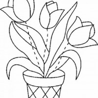 okul öncesınde sağlık haftası ,kağit işleri maske hayvanlar engelliler haftasi ,meyveler ,meslekler sayılar (2856)