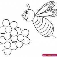 okul öncesınde sağlık haftası ,kağit işleri maske hayvanlar engelliler haftasi ,meyveler ,meslekler sayılar (2862)