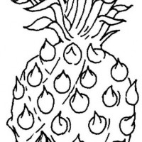 okul öncesınde sağlık haftası ,kağit işleri maske hayvanlar engelliler haftasi ,meyveler ,meslekler sayılar (2879)