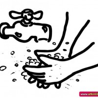 okul öncesınde sağlık haftası ,kağit işleri maske hayvanlar engelliler haftasi ,meyveler ,meslekler sayılar (2898)