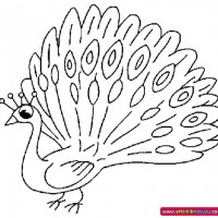 okul öncesınde sağlık haftası ,kağit işleri maske hayvanlar engelliler haftasi ,meyveler ,meslekler sayılar (2906)