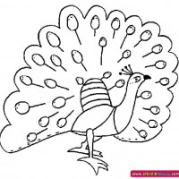 okul öncesınde sağlık haftası ,kağit işleri maske hayvanlar engelliler haftasi ,meyveler ,meslekler sayılar (2907)