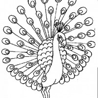 okul öncesınde sağlık haftası ,kağit işleri maske hayvanlar engelliler haftasi ,meyveler ,meslekler sayılar (2911)