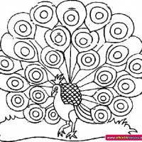 okul öncesınde sağlık haftası ,kağit işleri maske hayvanlar engelliler haftasi ,meyveler ,meslekler sayılar (2912)