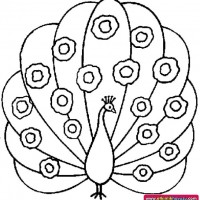 okul öncesınde sağlık haftası ,kağit işleri maske hayvanlar engelliler haftasi ,meyveler ,meslekler sayılar (2913)