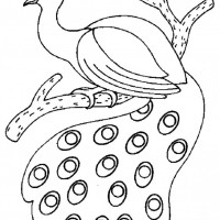 okul öncesınde sağlık haftası ,kağit işleri maske hayvanlar engelliler haftasi ,meyveler ,meslekler sayılar (2914)