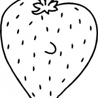 okul öncesınde sağlık haftası ,kağit işleri maske hayvanlar engelliler haftasi ,meyveler ,meslekler sayılar (2915)