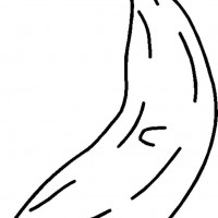 okul öncesınde sağlık haftası ,kağit işleri maske hayvanlar engelliler haftasi ,meyveler ,meslekler sayılar (2918)