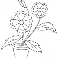 okul öncesınde sağlık haftası ,kağit işleri maske hayvanlar engelliler haftasi ,meyveler ,meslekler sayılar (2925)