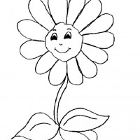 okul öncesınde sağlık haftası ,kağit işleri maske hayvanlar engelliler haftasi ,meyveler ,meslekler sayılar (2926)