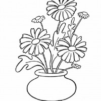 okul öncesınde sağlık haftası ,kağit işleri maske hayvanlar engelliler haftasi ,meyveler ,meslekler sayılar (2928)