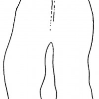 okul öncesınde sağlık haftası ,kağit işleri maske hayvanlar engelliler haftasi ,meyveler ,meslekler sayılar (2930)