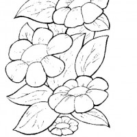 okul öncesınde sağlık haftası ,kağit işleri maske hayvanlar engelliler haftasi ,meyveler ,meslekler sayılar (2942)