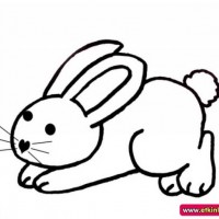 okul öncesınde sağlık haftası ,kağit işleri maske hayvanlar engelliler haftasi ,meyveler ,meslekler sayılar (2996)