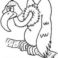 okul öncesınde sağlık haftası ,kağit işleri maske hayvanlar engelliler haftasi ,meyveler ,meslekler sayılar (3013)