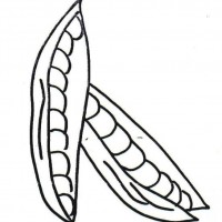 okul öncesınde sağlık haftası ,kağit işleri maske hayvanlar engelliler haftasi ,meyveler ,meslekler sayılar (3027)