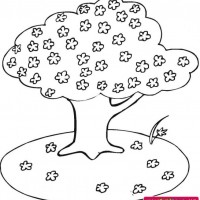 okul öncesınde sağlık haftası ,kağit işleri maske hayvanlar engelliler haftasi ,meyveler ,meslekler sayılar (3028)