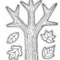 okul öncesınde sağlık haftası ,kağit işleri maske hayvanlar engelliler haftasi ,meyveler ,meslekler sayılar (3029)