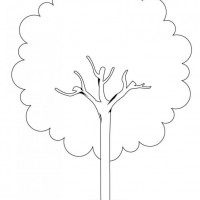 okul öncesınde sağlık haftası ,kağit işleri maske hayvanlar engelliler haftasi ,meyveler ,meslekler sayılar (3031)