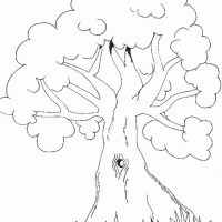 okul öncesınde sağlık haftası ,kağit işleri maske hayvanlar engelliler haftasi ,meyveler ,meslekler sayılar (3032)