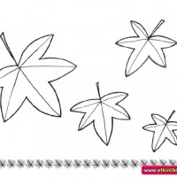 okul öncesınde sağlık haftası ,kağit işleri maske hayvanlar engelliler haftasi ,meyveler ,meslekler sayılar (3042)