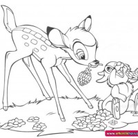 okul öncesınde sağlık haftası ,kağit işleri maske hayvanlar engelliler haftasi ,meyveler ,meslekler sayılar (3050)