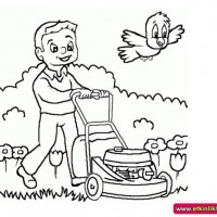 okul öncesınde sağlık haftası ,kağit işleri maske hayvanlar engelliler haftasi ,meyveler ,meslekler sayılar (3053)