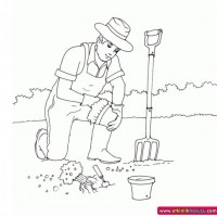 okul öncesınde sağlık haftası ,kağit işleri maske hayvanlar engelliler haftasi ,meyveler ,meslekler sayılar (3054)