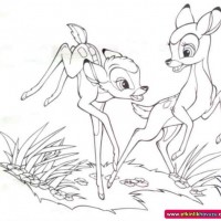 okul öncesınde sağlık haftası ,kağit işleri maske hayvanlar engelliler haftasi ,meyveler ,meslekler sayılar (3059)