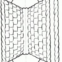 okul öncesınde sağlık haftası ,kağit işleri maske hayvanlar engelliler haftasi ,meyveler ,meslekler sayılar (3067)