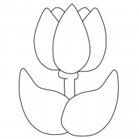 okul öncesınde sağlık haftası ,kağit işleri maske hayvanlar engelliler haftasi ,meyveler ,meslekler sayılar (3097)