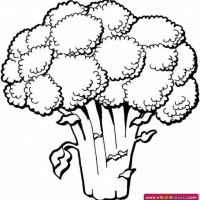 okul öncesınde sağlık haftası ,kağit işleri maske hayvanlar engelliler haftasi ,meyveler ,meslekler sayılar (3102)