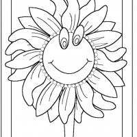 okul öncesınde sağlık haftası ,kağit işleri maske hayvanlar engelliler haftasi ,meyveler ,meslekler sayılar (3104)