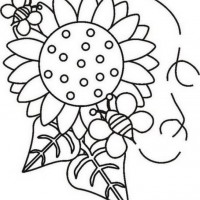 okul öncesınde sağlık haftası ,kağit işleri maske hayvanlar engelliler haftasi ,meyveler ,meslekler sayılar (3109)