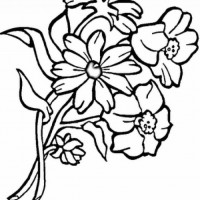 okul öncesınde sağlık haftası ,kağit işleri maske hayvanlar engelliler haftasi ,meyveler ,meslekler sayılar (3111)