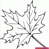 okul öncesınde sağlık haftası ,kağit işleri maske hayvanlar engelliler haftasi ,meyveler ,meslekler sayılar (3116)