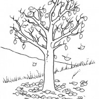 okul öncesınde sağlık haftası ,kağit işleri maske hayvanlar engelliler haftasi ,meyveler ,meslekler sayılar (3117)